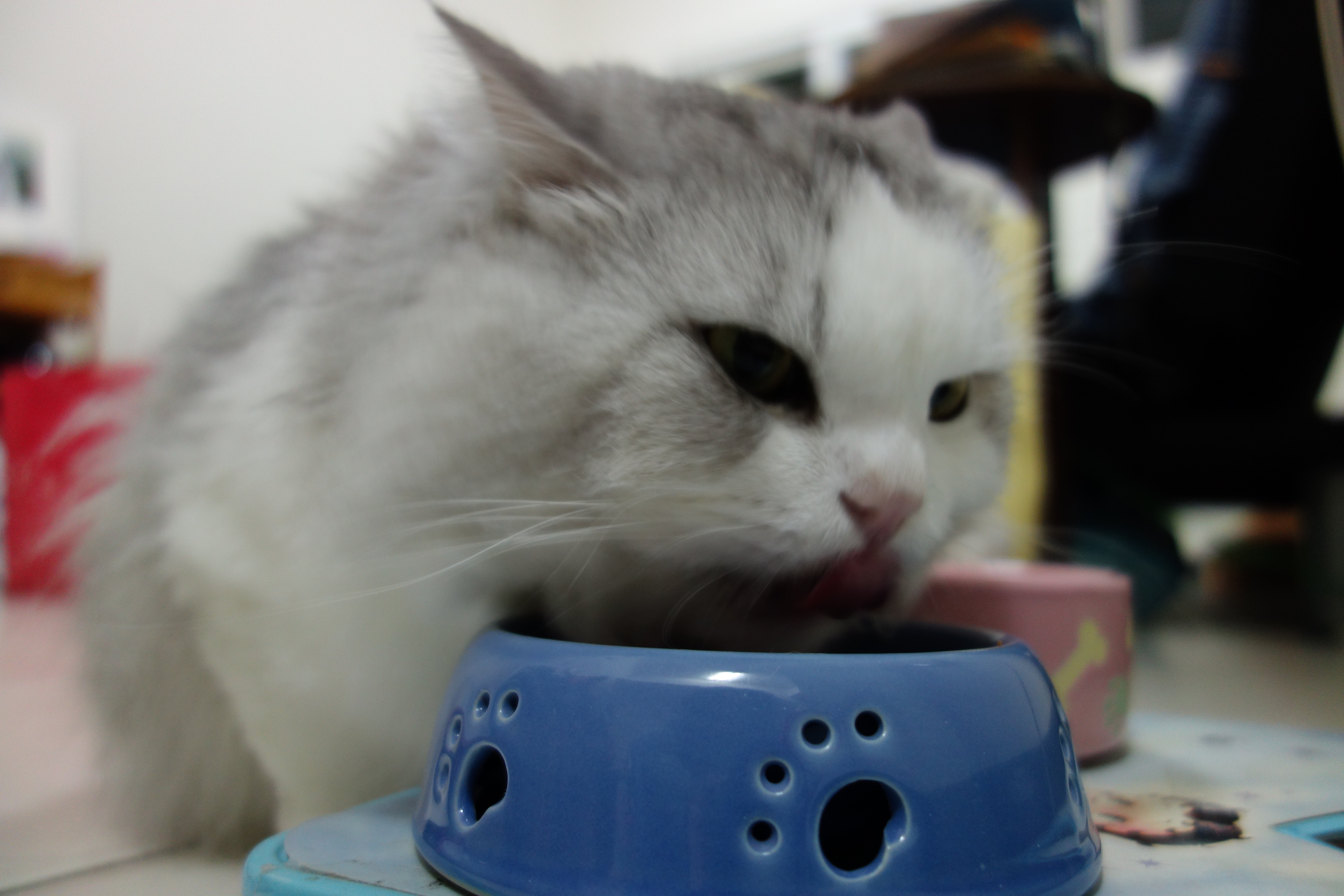 DSC00091